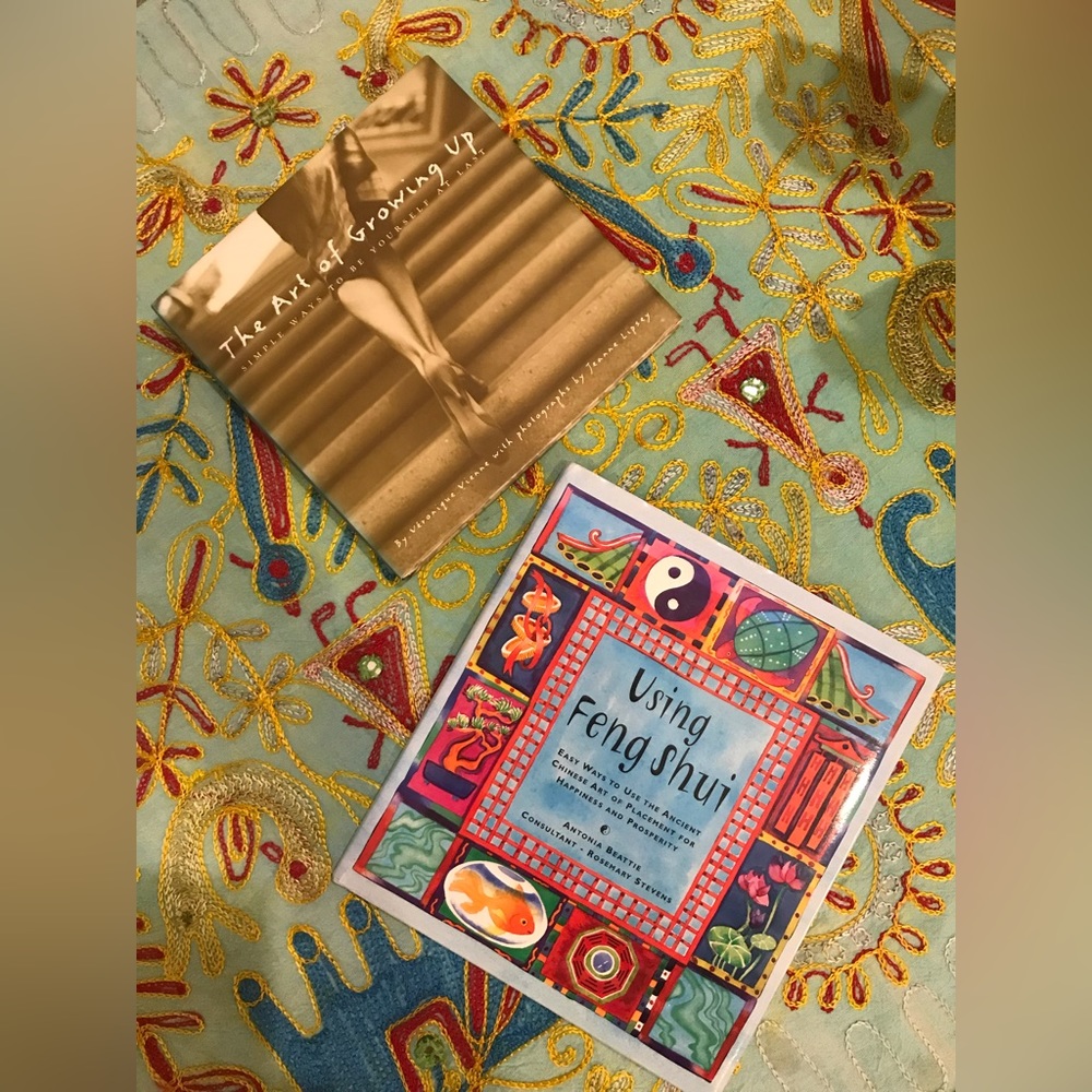 2 BOOK BUNDLE- The Art of Growing Up & Using Feng Shui